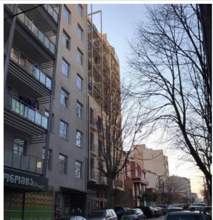 Sophio House In Gagarini Leilighet Tbilisi Eksteriør bilde